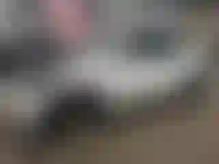 Vehicle Image- 2021 Tesla Model Y