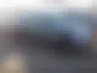 Vehicle Image- 2020 Tesla Model Y