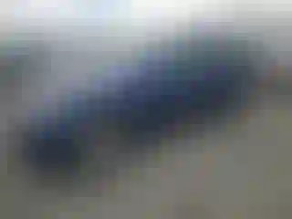 Vehicle Image- 2020 Tesla Model Y