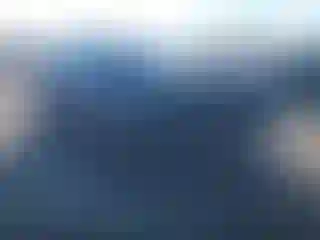 Vehicle Image- 2020 Tesla Model Y