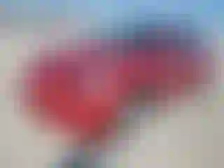 Vehicle Image- 2021 Tesla Model Y