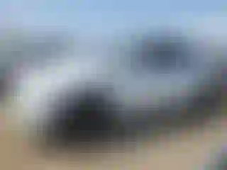 Vehicle Image- 2021 Tesla Model Y