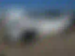 Vehicle Image- 2021 Tesla Model Y
