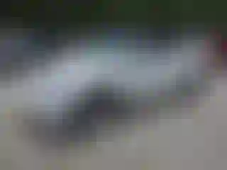 Vehicle Image- 2021 Tesla Model Y