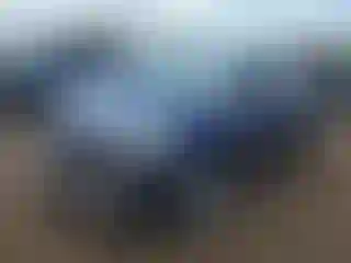 Vehicle Image- 2020 Tesla Model Y