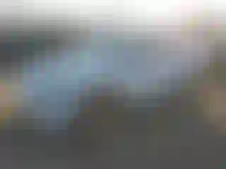 Vehicle Image- 2021 Tesla Model Y