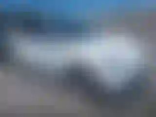 Vehicle Image- 2021 Tesla Model Y