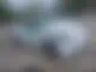 Vehicle Image- 2021 Tesla Model Y