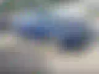 Vehicle Image- 2021 Tesla Model Y