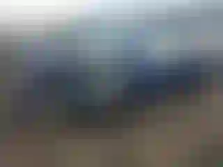 Vehicle Image- 2020 Tesla Model Y