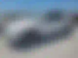 Vehicle Image- 2021 Tesla Model Y