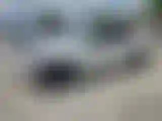 Vehicle Image- 2021 Tesla Model Y