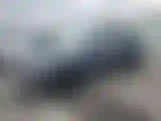 Vehicle Image- 2021 Tesla Model Y