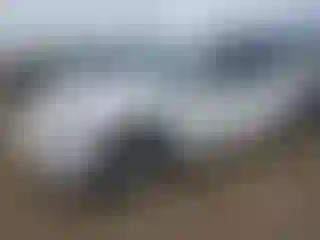 Vehicle Image- 2021 Tesla Model Y