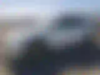 Vehicle Image- 2021 Tesla Model Y