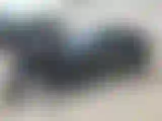 Vehicle Image- 2021 Tesla Model Y