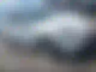 Vehicle Image- 2021 Tesla Model Y