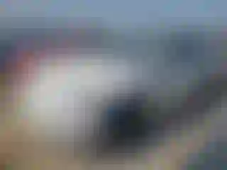 Vehicle Image- 2021 Tesla Model Y