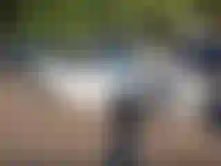 Vehicle Image- 2021 Tesla Model Y