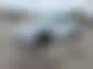 Vehicle Image- 2021 Tesla Model Y