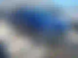 Vehicle Image- 2020 Tesla Model Y