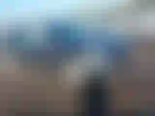 Vehicle Image- 2021 Tesla Model Y