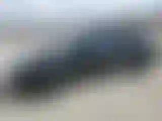 Vehicle Image- 2021 Tesla Model Y