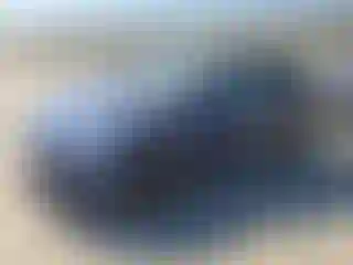Vehicle Image- 2021 Tesla Model Y