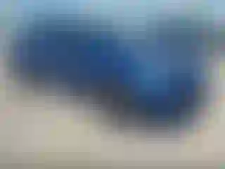 Vehicle Image- 2021 Tesla Model Y