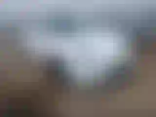 Vehicle Image- 2020 Tesla Model Y