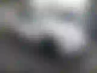 Vehicle Image- 2021 Tesla Model Y