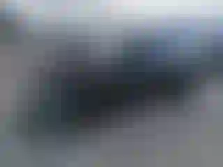 Vehicle Image- 2021 Tesla Model Y
