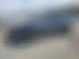 Vehicle Image- 2021 Tesla Model Y