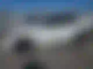 Vehicle Image- 2021 Tesla Model Y
