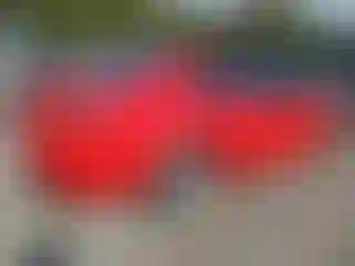 IMPORTOWO.pl