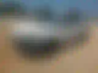 Vehicle Image- 2024 Honda CR-V
