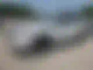 Vehicle Image- 2024 Honda CR-V
