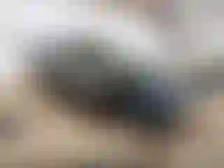 Vehicle Image- 2024 Honda CR-V