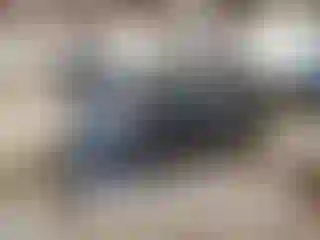 Vehicle Image- 2023 Honda CR-V