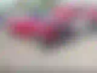 Vehicle Image- 2022 Honda CR-V