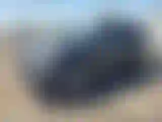 Vehicle Image- 2019 Honda CR-V