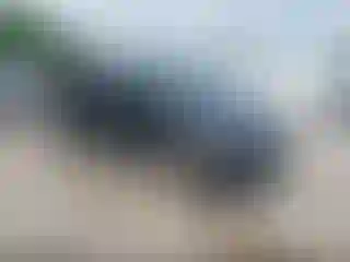 Vehicle Image- 2019 Honda CR-V