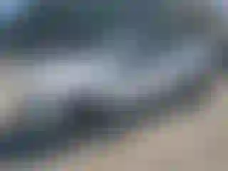 Vehicle Image- 2024 Volvo S60