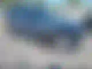 Vehicle Image- 2024 Toyota Corolla