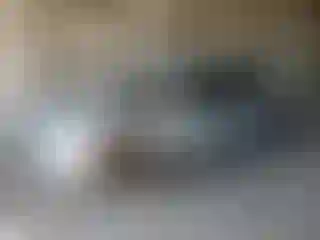 Vehicle Image- 2023 Toyota Corolla