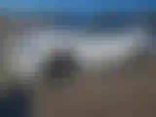 Vehicle Image- 2023 Tesla Model X