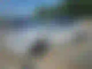 Vehicle Image- 2023 Tesla Model X