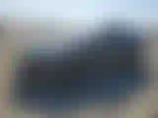 Vehicle Image- 2023 Tesla Model Y