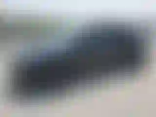 Vehicle Image- 2025 Tesla Model Y
