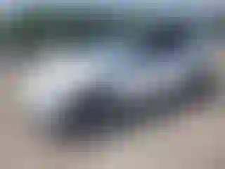 Vehicle Image- 2022 Tesla Model Y